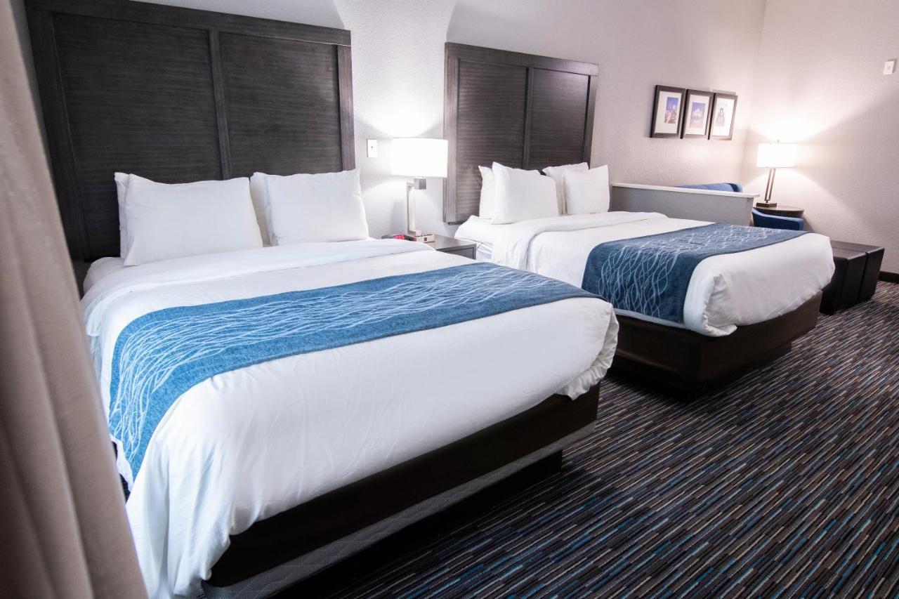 Comfort Inn & Suites Near Medical Center San Antonio Zewnętrze zdjęcie